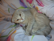 Илизабет Флавиния 6 мес.