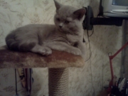 Юничел возраст 3 мес.